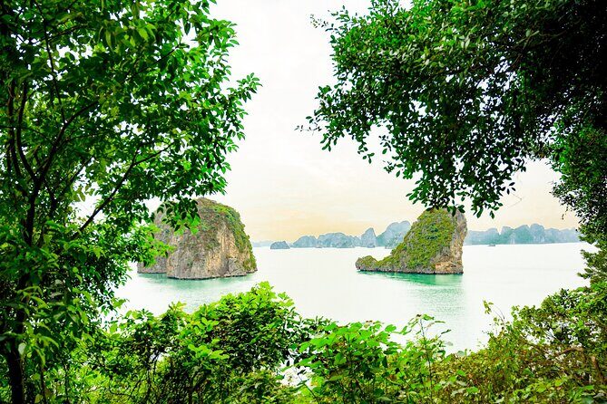1-Day Bai Tu Long Bay Cruise: Pristine, Fun & Away fr the Crowds - Kayaking on Bai Tu Long: active time with calmer water