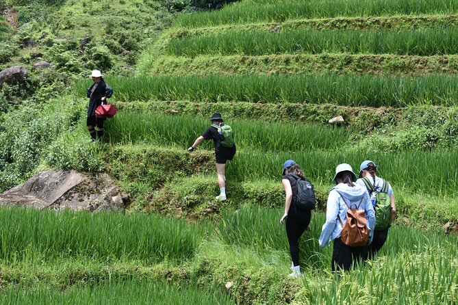 1-Day Private Trekking in Sapa through Terraces Rice Fields - Ta Van village: H’mong, Red Dao, Giay, and a busier village street