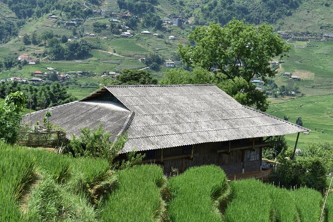 1-Day Private Trekking in Sapa through Terraces Rice Fields - Guide-led storytelling: local pace, patience, and off-road flexibility