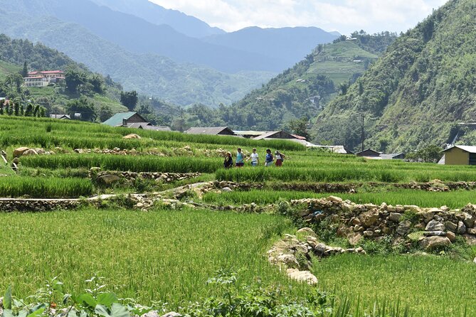 1-Day Private Trekking in Sapa through Terraces Rice Fields - Price and value: what $49 really buys you here