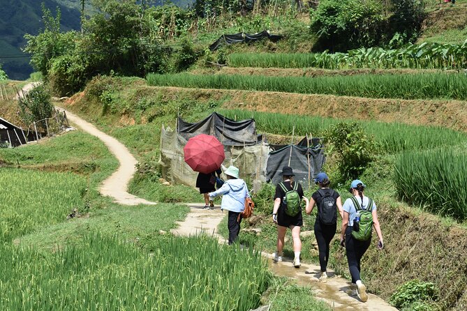 1-Day Private Trekking in Sapa through Terraces Rice Fields - What kind of traveler should book this?