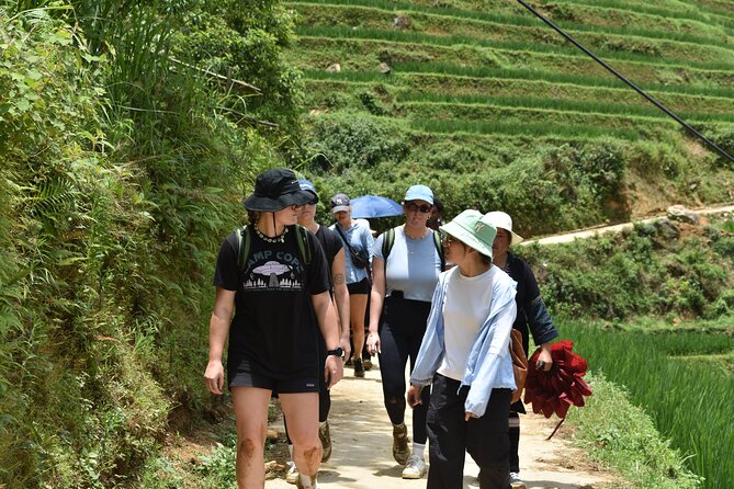 1-Day Private Trekking in Sapa through Terraces Rice Fields - Lao Chai trail: ribbon-like terraces and Muong Hoa valley sightlines