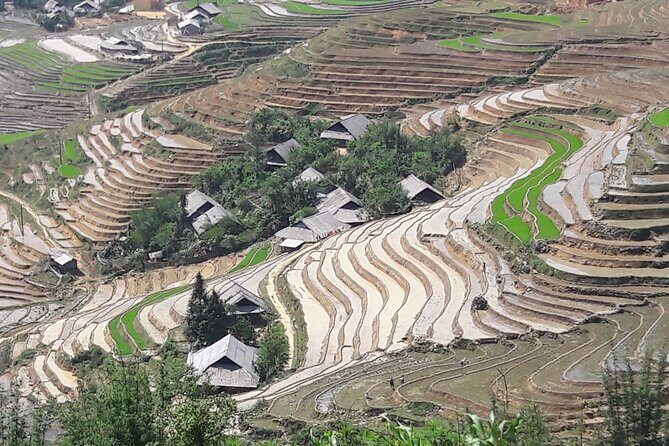1 Day Sapa Authentic Trekking ( off beaten track ) - Pine forest to corn fields and black limestone: why the scenery keeps changing