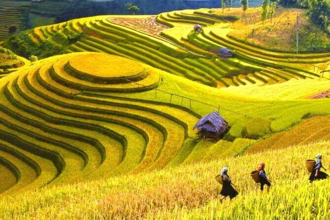 1 Day Sapa Tour Explore Y Linh Ho And Lao Chai And Ta Van Village - Key highlights