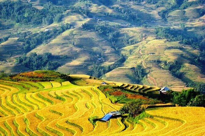1 Day Sapa Tour Explore Y Linh Ho And Lao Chai And Ta Van Village - The included local lunch: what value actually looks like