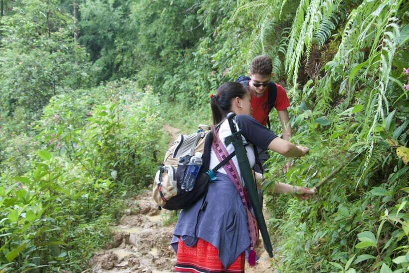 1 Day Sapa Trek&Home-cooked Lunch HmongSisterHouse&Trekking - The trek segment: rice paddies, village views, and cultural context