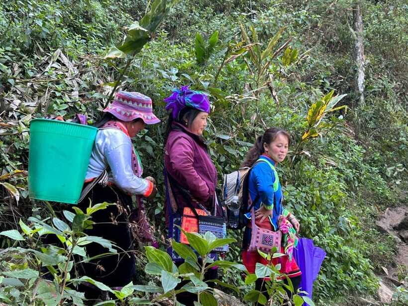 1 Day Sapa Trek&Home-cooked Lunch HmongSisterHouse&Trekking - Should you book this Sapa Trek & Home-cooked Lunch?
