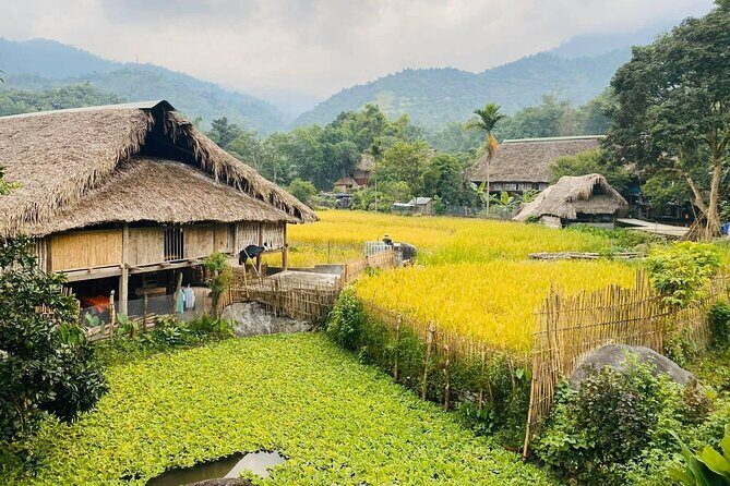 1 Day Trekking Tour in Ha Giang with Local Experts - From Ha Giang City to Ha Thanh: Tay Stilt Houses and Thác Số 6