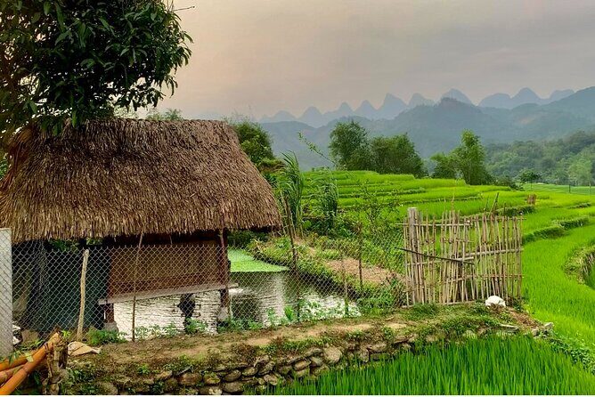 1 Day Trekking Tour in Ha Giang with Local Experts - Who Should Book This Ha Giang Trek (and Who Might Prefer Another Option)