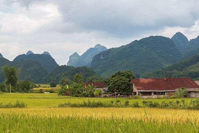 12 Days in Vietnam | Cultural Exploration with Beach Escapes - Sunrise Tai Chi on Lan Ha Bay, then the Da Nang switch
