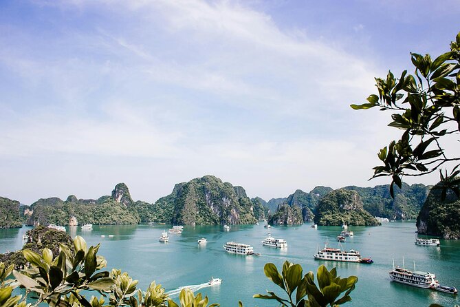 12 Days Vietnam Tour Package - Hoi An day 1: Cam Thanh bamboo boat plus the Japanese Covered Bridge