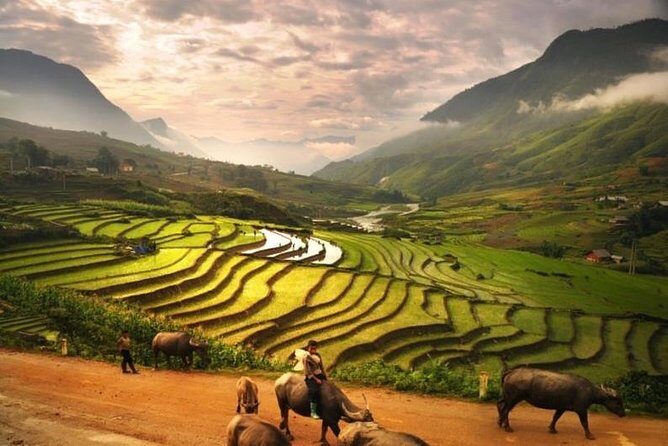 15-Day Majestic Vietnam FULL Package - 68% OFF + Bonuses - Hue day trips: Thien Mu pagoda and the Imperial City