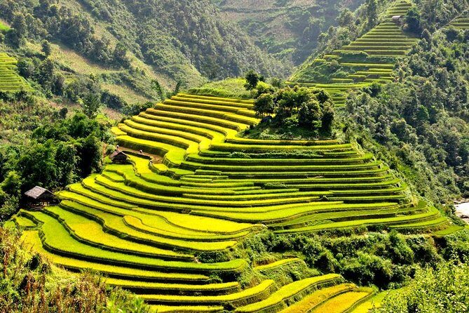 15-Day Majestic Vietnam FULL Package - 68% OFF + Bonuses - South Vietnam legs: flights to Ho Chi Minh City and two major history days