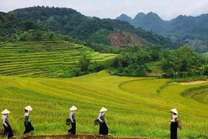 15-Day Vietnam Itinerary All in One | Travel Package 2026-2027 - Why This Hanoi-to-Ho-Chi-Minh Route Feels Efficient (Not Rushed)