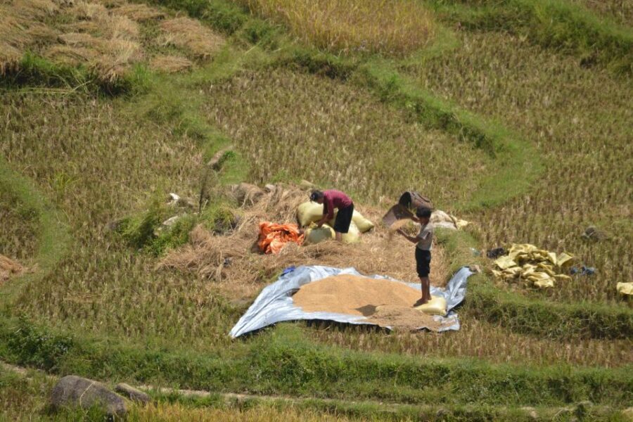 2 Day-2 Night Sapa Trekking: Overnight Train &Limousine Bus - Key things to know before you go
