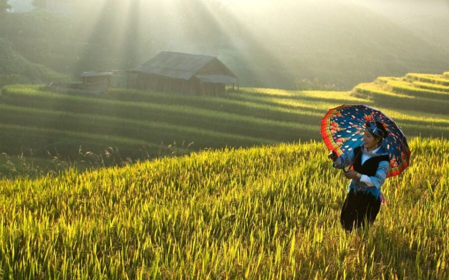 2 Day-2 Night Sapa Trekking: Overnight Train &Limousine Bus - Lao Cai to Sa Pa at altitude: early arrival, breakfast, and mountain air