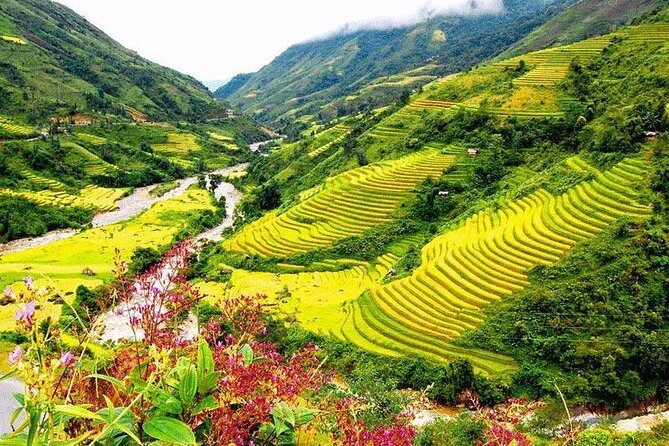 2-Day Amazing Sapa Trek With Sleeper Train From Hanoi - Overnight At Homestay - Ta Van at noon: Giay community lunch, then homestay check-in