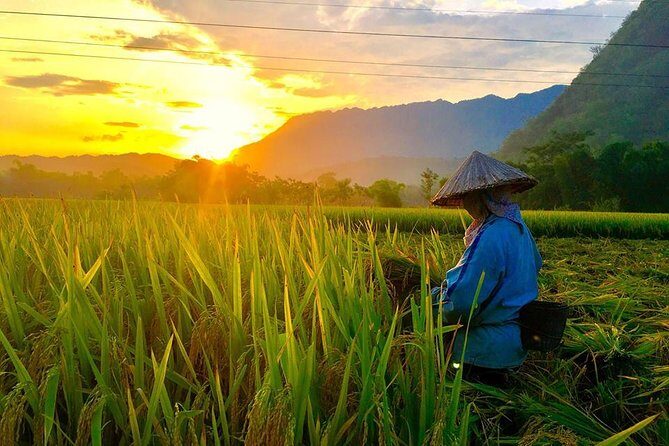 2-Day Mai Chau Valley Tour from Hanoi - Meals and rice wine: why the included dining is more than a checkbox