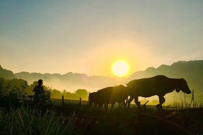 2-Day Mai Chau Valley Tour from Hanoi - Price and value: what $114.90 actually buys you
