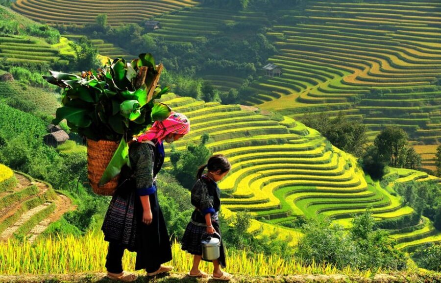 2-Day Sapa Tour - Overnight in Ta Van Village (All in One) - Should you book the 2-Day Sapa Tour with Ta Van overnight?