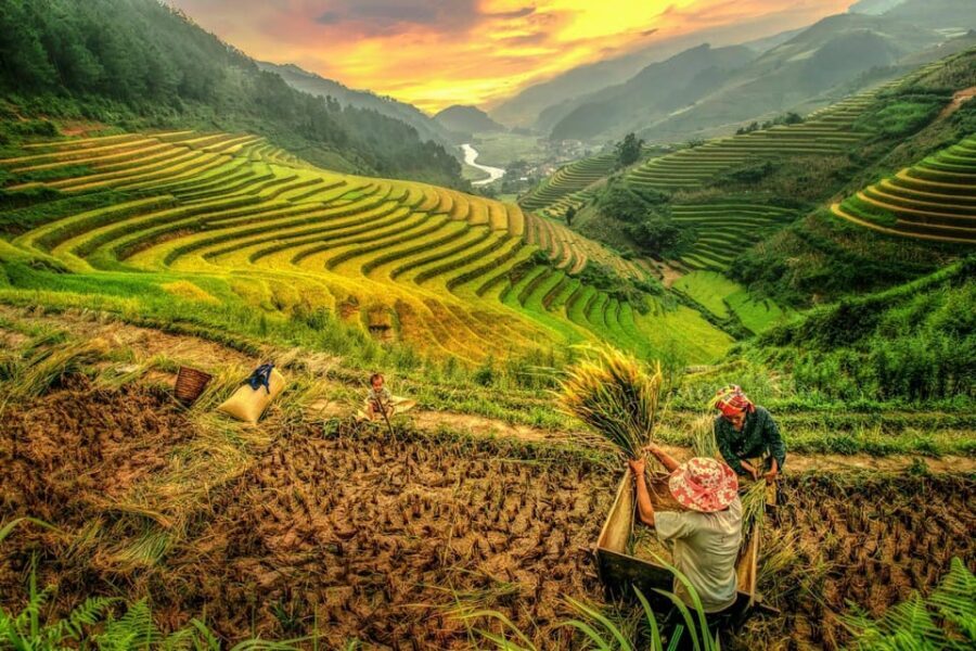 2-Day Sapa Tour - Overnight in Ta Van Village (All in One) - Day 2: bamboo forest, Giang Ta Chai Bridge, and the return ride