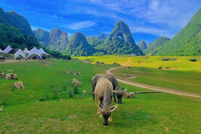 2 Day Tour in Ban Gioc Waterfalls from Hanoi - Price and Value: Is $248.60 a Fair Deal?