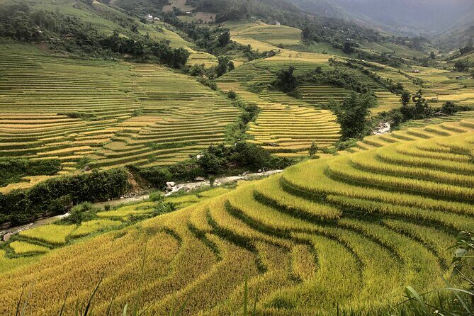 2 Day Trekking Experience: Explore with knowledgeable local guide - Day 1 through Muong Hoa Valley: about 16km of walking