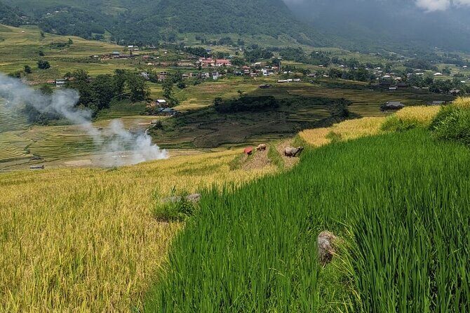 2 Day Trekking Experience: Explore with knowledgeable local guide - What’s included in this 2-day Sapa trek (and what isn’t)