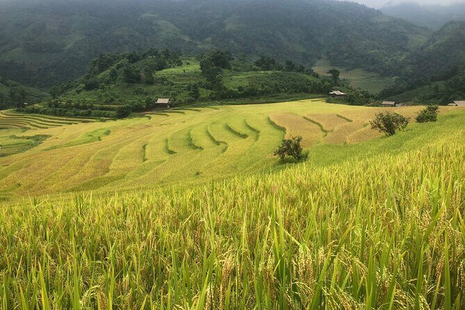 2 Day Trekking Experience: Explore with knowledgeable local guide - Evening in Bau’s home: village time that changes the trek