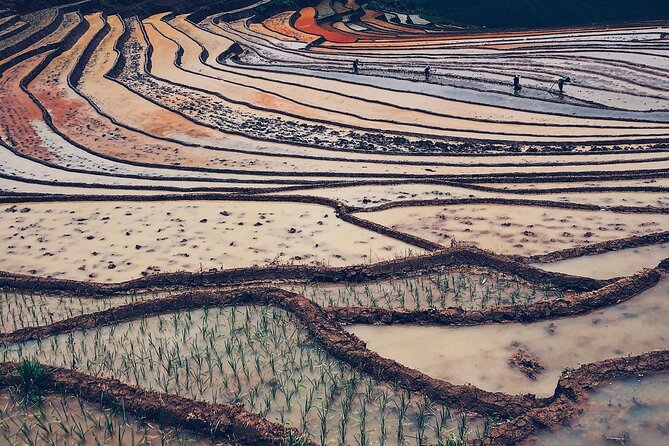 2-Day Trekking in Sa Pa from Ha Noi by sleeping bus - Day 2: bamboo forest, Red Dao customs, and Su Pan views