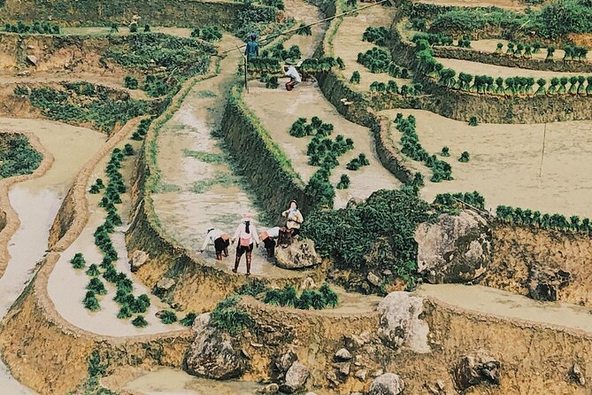2-Day Trekking in Sa Pa from Ha Noi by sleeping bus - Getting back to Sapa: transfer helps, then the late bus
