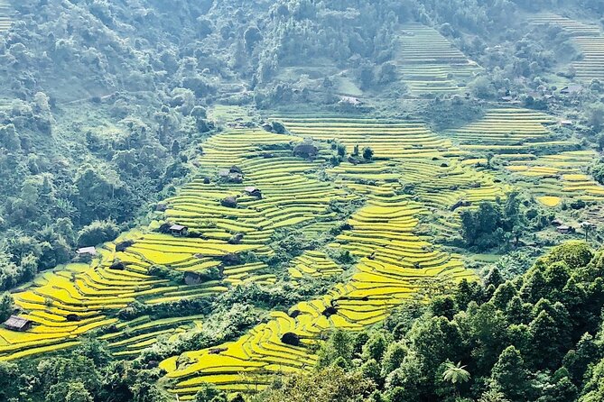 2-Day Trekking in Sa Pa from Ha Noi by sleeping bus - The guides and group vibe: small group, more patience