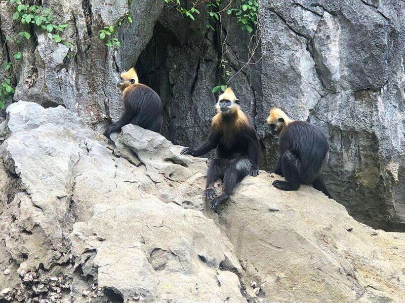 2 Days 1 Night Adventure: Cat Ba National Park, Lan Ha Bay - Packing tips that match how the trip actually feels