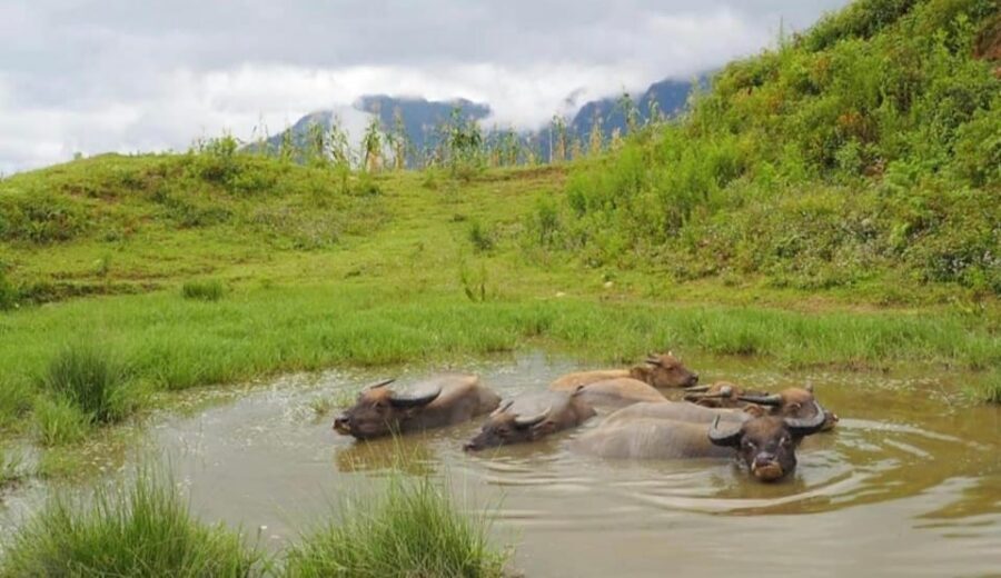 2 DAYS Explore SA PA'S Village through Scenic walking Trails - Price and value: budget 1,000,000 VND per person