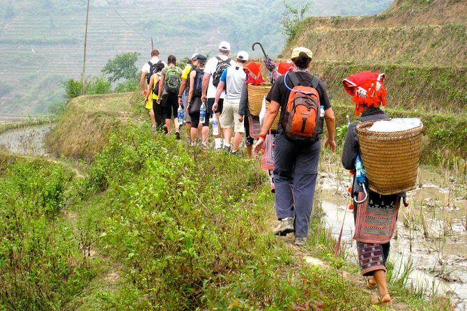 2 Days Homestay: Great Tour with Various Options - Why this 2-day Sapa homestay trip feels local (and not just scenic)