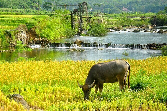 2 Days Pu Luong Offbeat Trekking Best for Mountain Lovers - Don village check-in: the stilt-house night with mountain downtime
