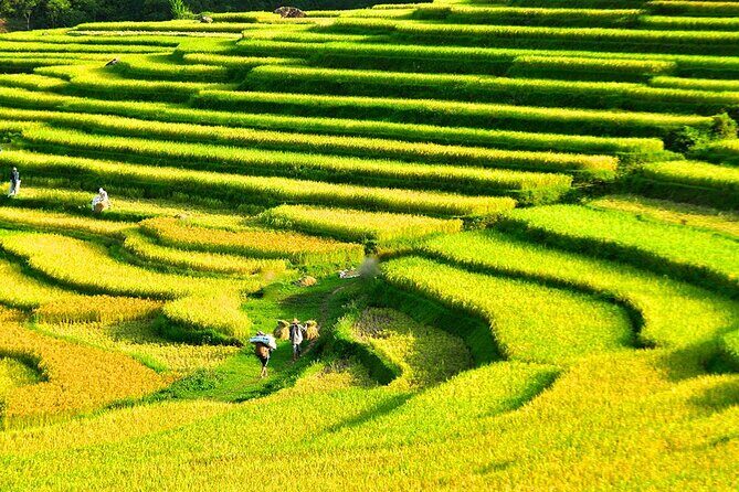 2 Days Pu Luong Offbeat Trekking Best for Mountain Lovers - Who should choose this Pu Luong offbeat trekking weekend