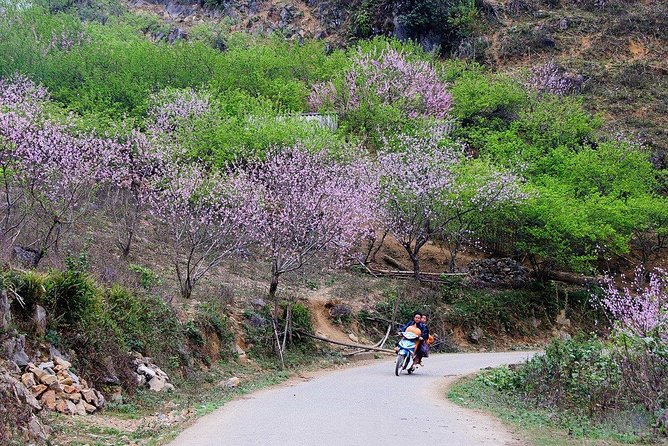 2 Days Sapa Trekking In Cat Cat And Ta Van Village From Hanoi - One night in Sapa: hotel trade-offs and warm-weather prep