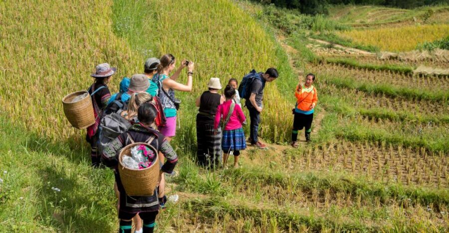 2 Night Lao Chai-Ta Van Homestay- Trekking & Fansipan Visit - Homestay Reality Check: Single Mattresses, Real Food, and What to Pack