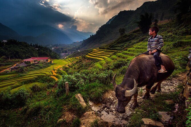 2D1N Buffalo trek by Hmong Sister House and Trekking - Day 1: pickup, Zizi homestay, and Hau Thao village life