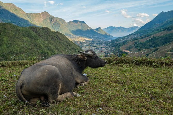 3 Day 2 Night Trek - Why this Sapa trek feels different from the usual “tour”