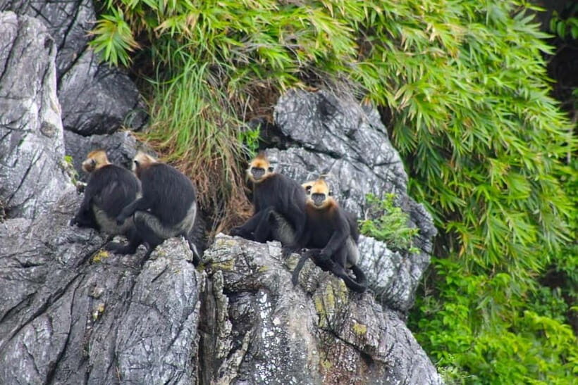 3-Day Discover the most stunning Cat Ba Island - Lan Ha Bay - Day 1: Hanoi or Ninh Binh to Ben Beo Pier, Then Into Lan Ha Bay