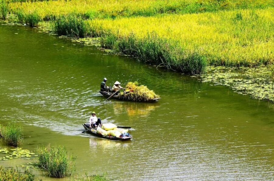 3-Day Ninh Binh Bungalow & Ha Long Bay 5 Star Cruise - Food, drinks, and what to expect on a full-board schedule
