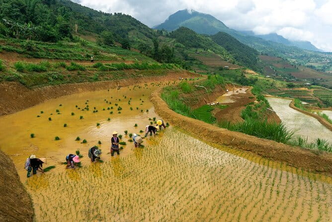 3-Day Pu Luong Natural Reserve from Hanoi, Trek with Local Guide - Trekking reality check: what to expect on the ground