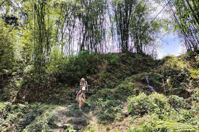 3-Day Trek in Amazing Muong Hoa Valley & ethnic Homestay - Day 2: Ta Van to Giang Ta Chai—Bamboo Forest and Red Dzao Life