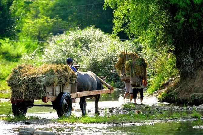 3-Day Trekking In Pu Luong Nature Reserve Private Tour - Entering Pu Luong: the route starts with a real escape