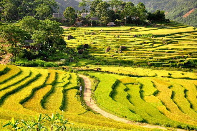 3-Day Trekking In Pu Luong Nature Reserve Private Tour - Day 3: the 3-hour trek to Kit village and returning via Nua
