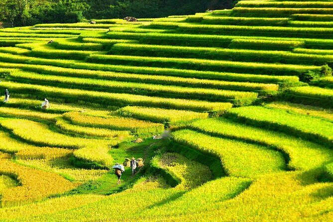 3 Days Pu Luong Off-road Trekking Best for Mountain Lovers - Key highlights at a glance