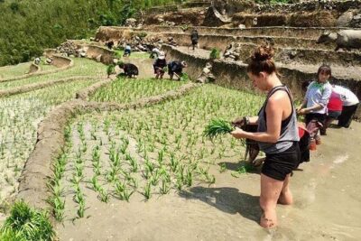 3 Days SAPA Real Experience at Local People House - Day 2: Breakfast at the Homestay, Then Trekking to Another Village’s Working Fields