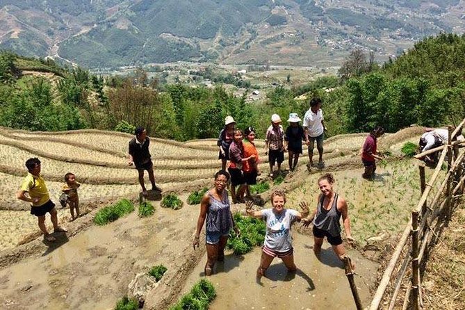 3 Days SAPA Real Experience at Local People House - Day 3: Homestay Morning Cooking, Optional Trek Choice, and Back to Hanoi by Sleeper Bus